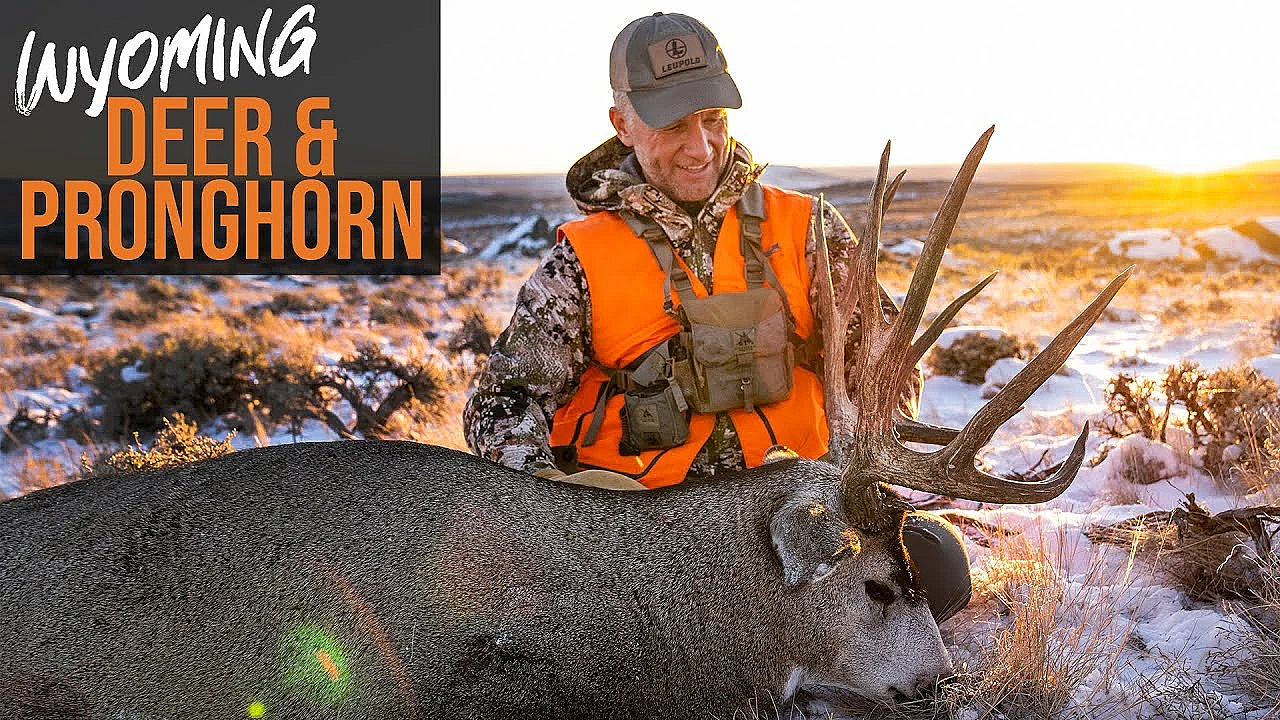 How To Draw A Tag In Wyoming! - Deer &amp; Pronghorn Application (2022)