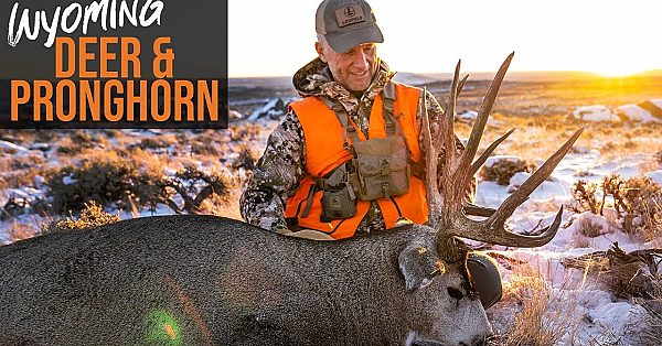 How To Draw A Tag In Wyoming! - Deer &amp; Pronghorn Application (2022)