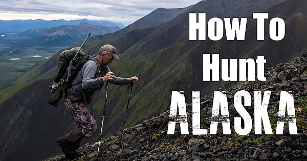 Our Application Strategy For Alaska