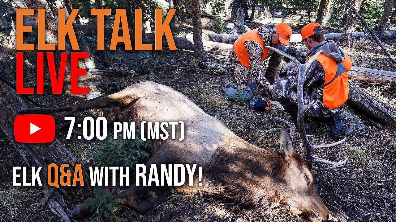 Elk Talk Live! // Ep 112