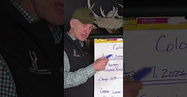 Don’t Apply In Colorado Until You Watch This!!