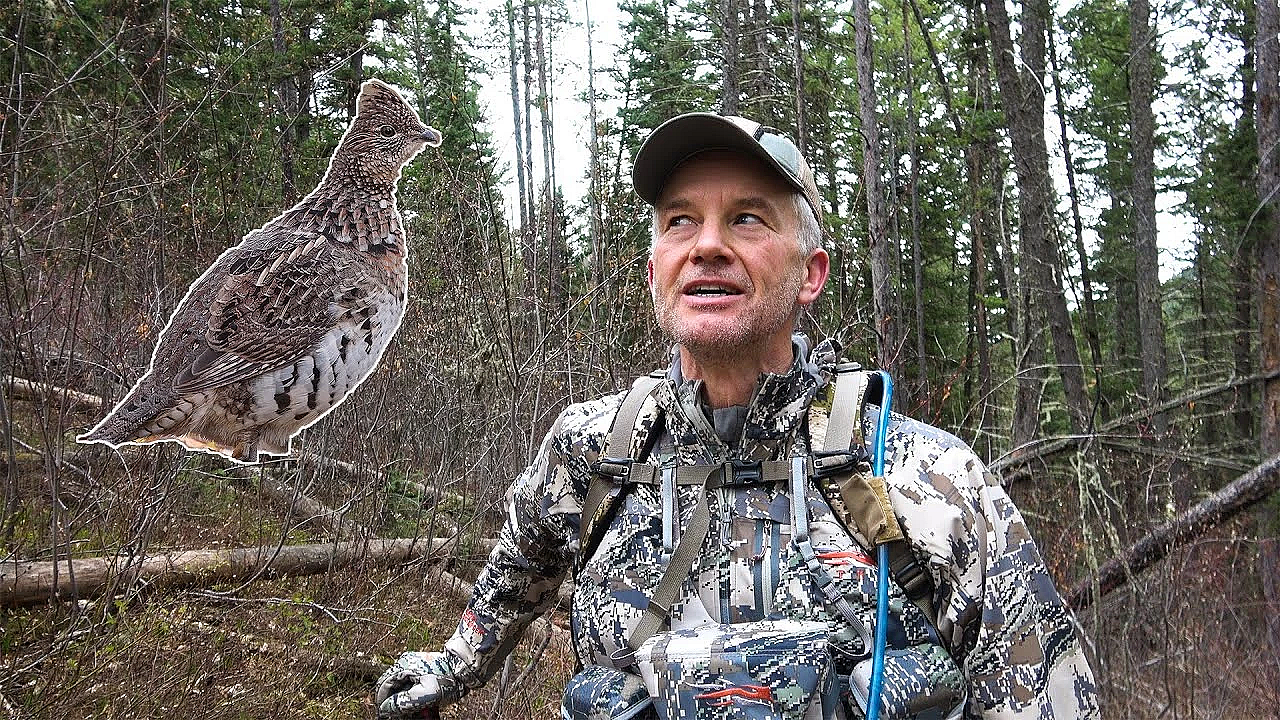 Mountain Grouse Survey: I Tried To Help A Graduate Student...and It Didn't Go Well