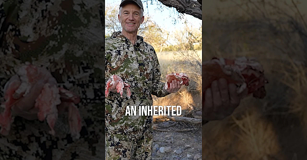 Does Anyone Else Hang Their Deer Fat In A Tree?