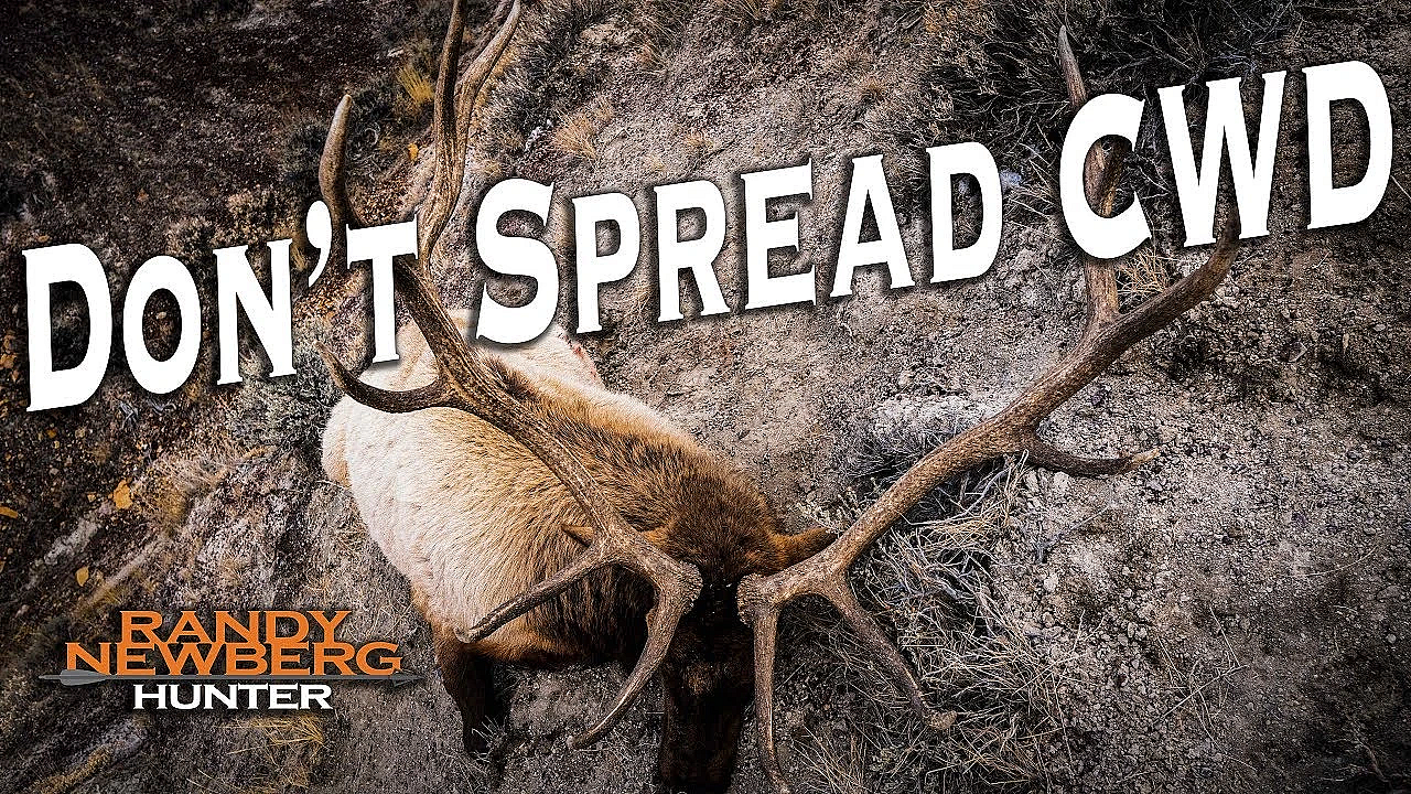 How To Not Spread Chronic Wasting Disease - Cwd!