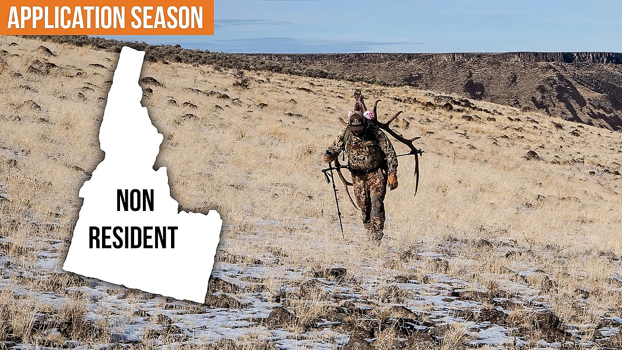 Huge Changes To Idaho Non-resident Deer And Elk Tags!