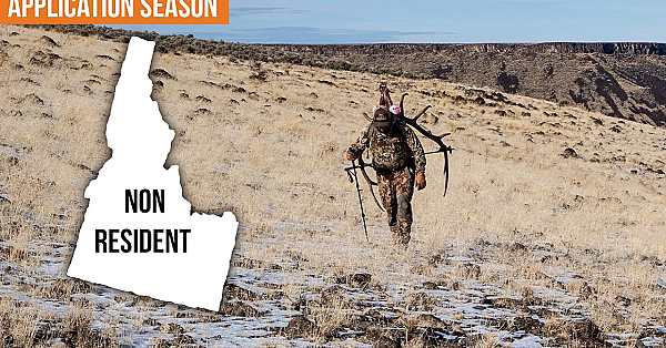 Huge Changes To Idaho Non-resident Deer And Elk Tags!
