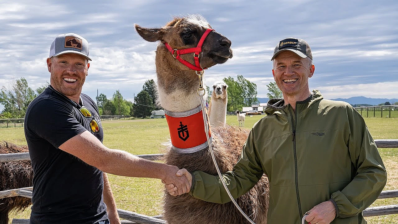 I Bought A Llama! (help Me Name It!)