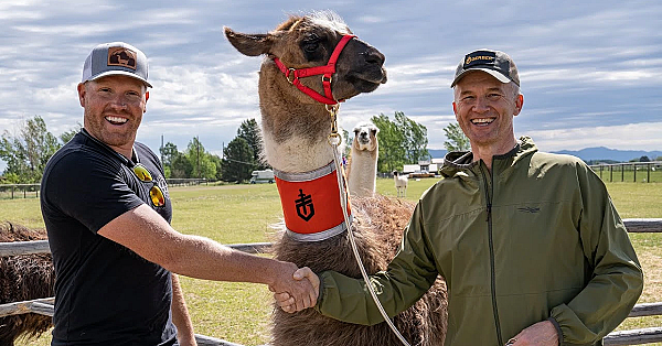 I Bought A Llama! (help Me Name It!)