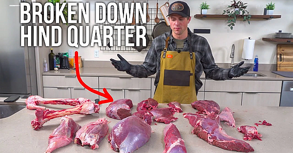 Elk Hind Quarter Masterclass: From Butchering To Delicious Meals