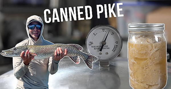 Catch, Clean &amp; Can: Marcus Turns Pike Into Shelf-stable Meals