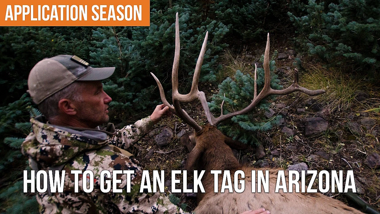 How To Apply For Arizona Elk &amp; Pronghorn Hunts In 2025!