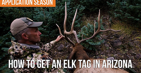 How To Apply For Arizona Elk &amp; Pronghorn Hunts In 2025!