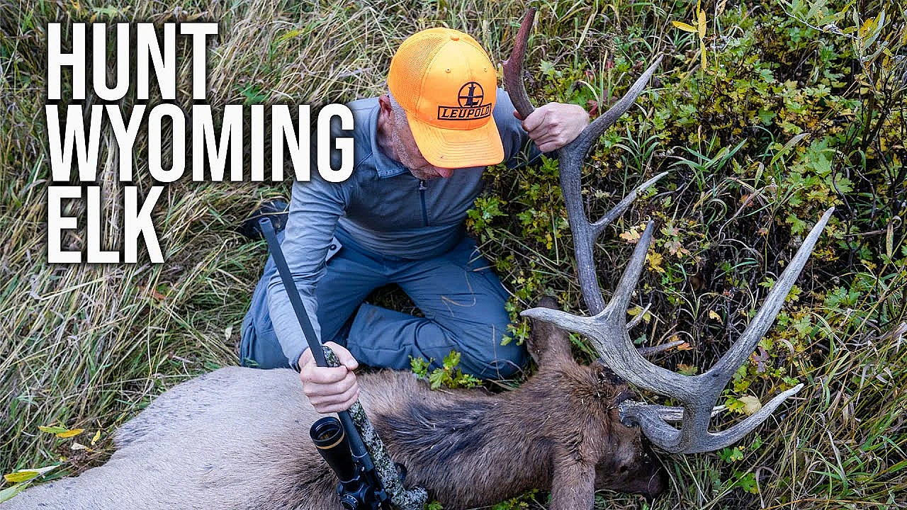 How To Apply For Wyoming Elk - 2023 Changes For Wyoming