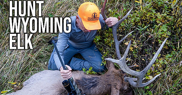 How To Apply For Wyoming Elk - 2023 Changes For Wyoming