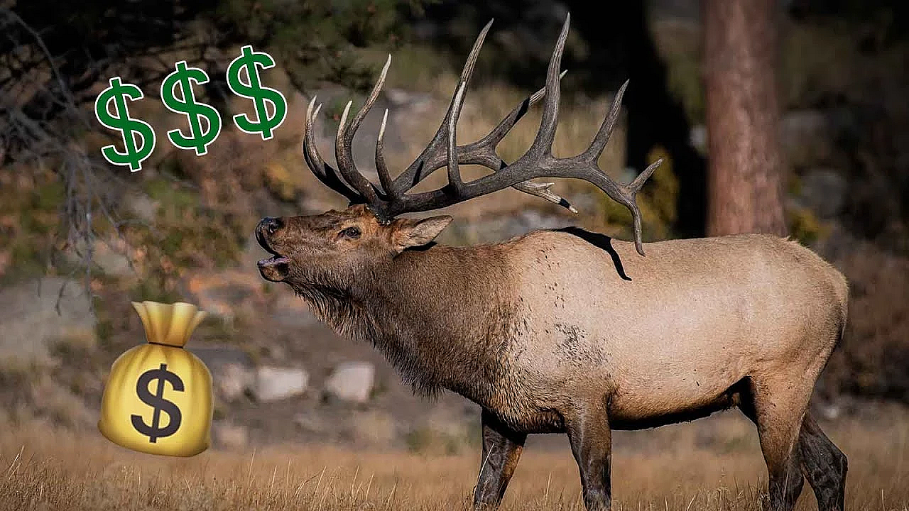 Fresh Tracks Weekly - Bulls For Billionaires