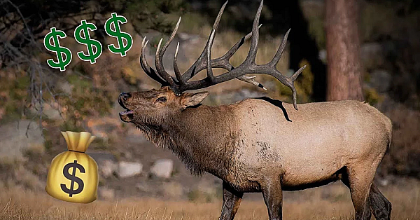 Fresh Tracks Weekly - Bulls For Billionaires