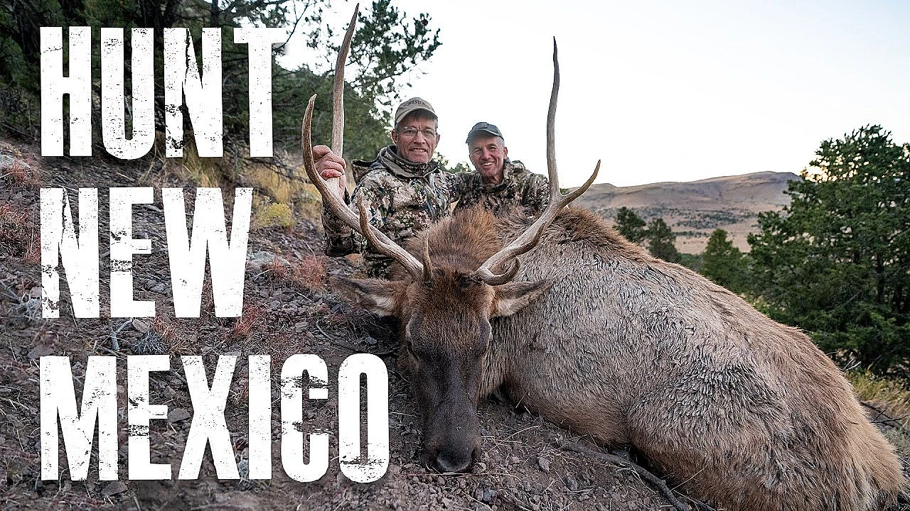 How To Hunt New Mexico