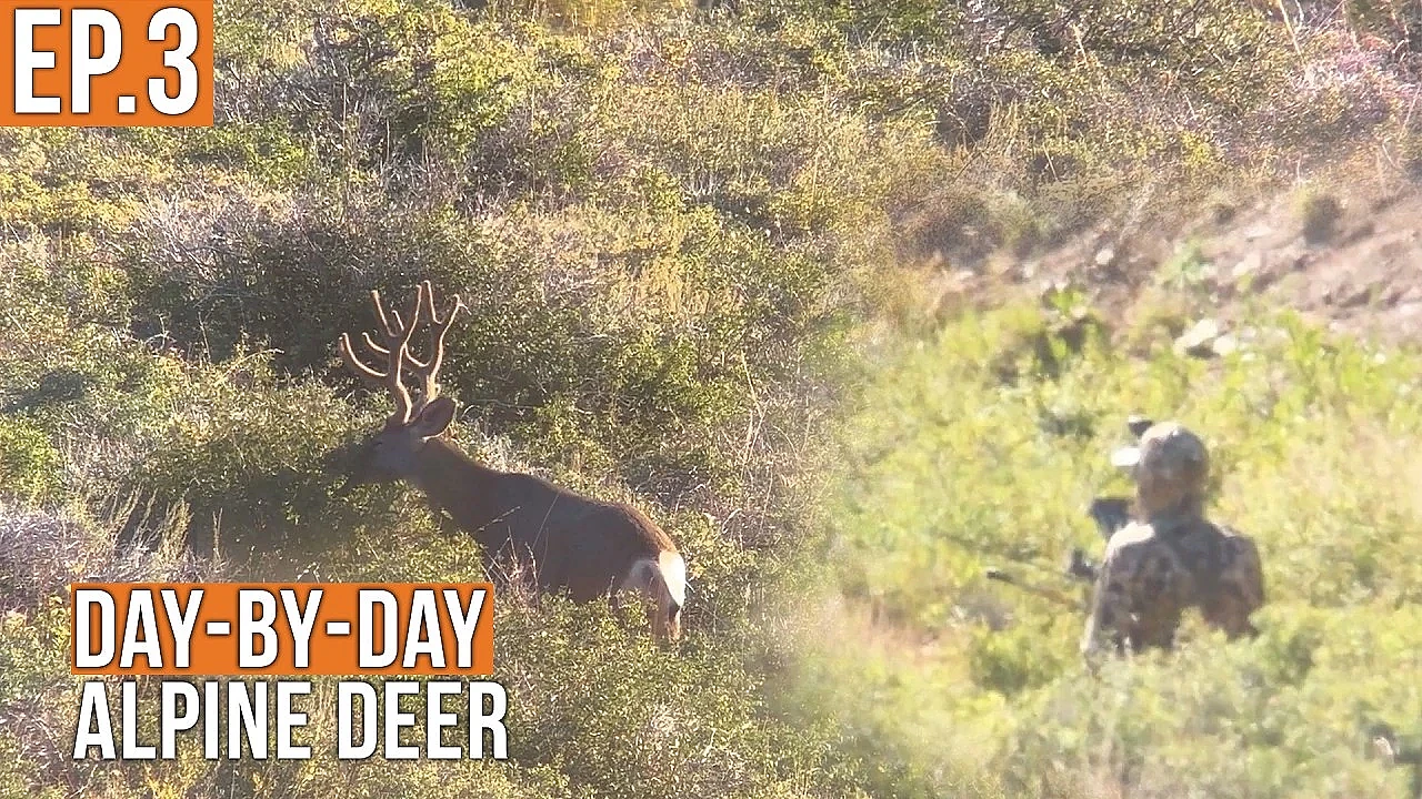 We're in Business | Alpine Deer (EP.3)