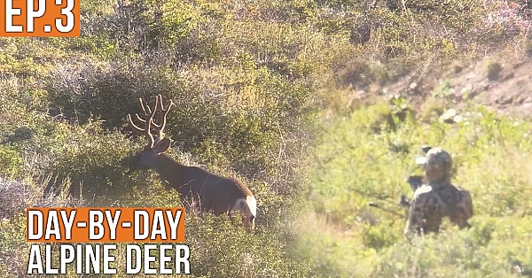 We're in Business | Alpine Deer (EP.3)
