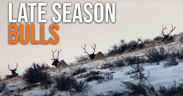How To Find Late Season Elk On Public Land!