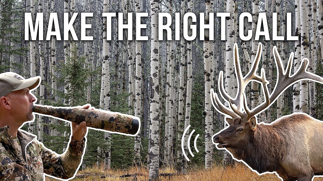 How a World Champion Calls Elk in Real Hunting Situations