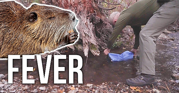 How Hunters Can Avoid Giardia