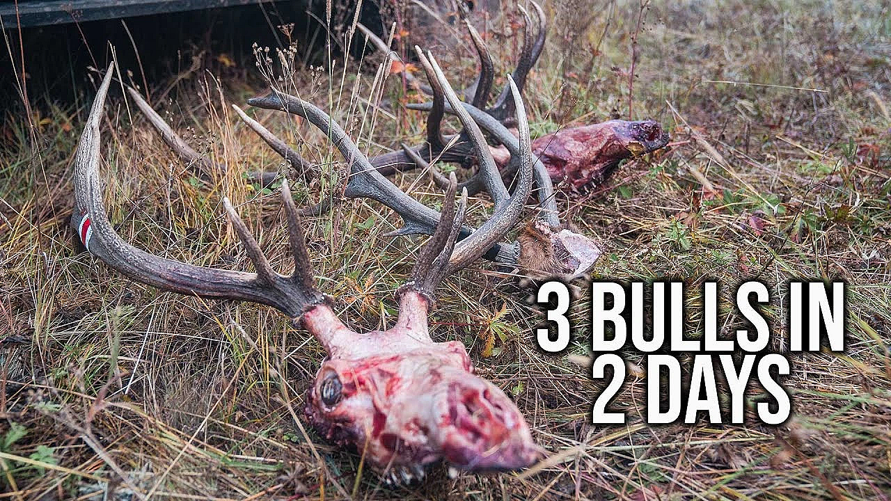 3 Lessons From An Epic Wyoming Backcountry Elk Hunt