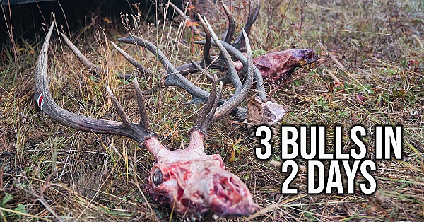 3 Lessons From An Epic Wyoming Backcountry Elk Hunt