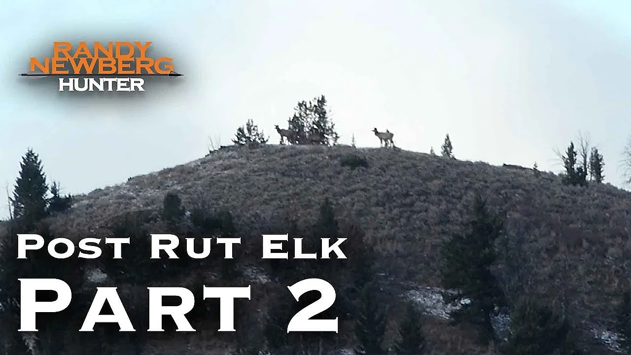 2018 Montana Post Rut Elk Hunt With Randy Newberg (part 2)
