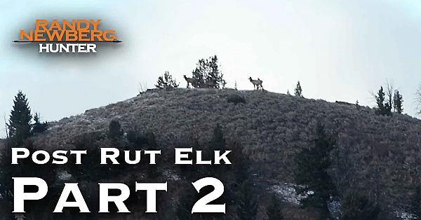 2018 Montana Post Rut Elk Hunt With Randy Newberg (part 2)