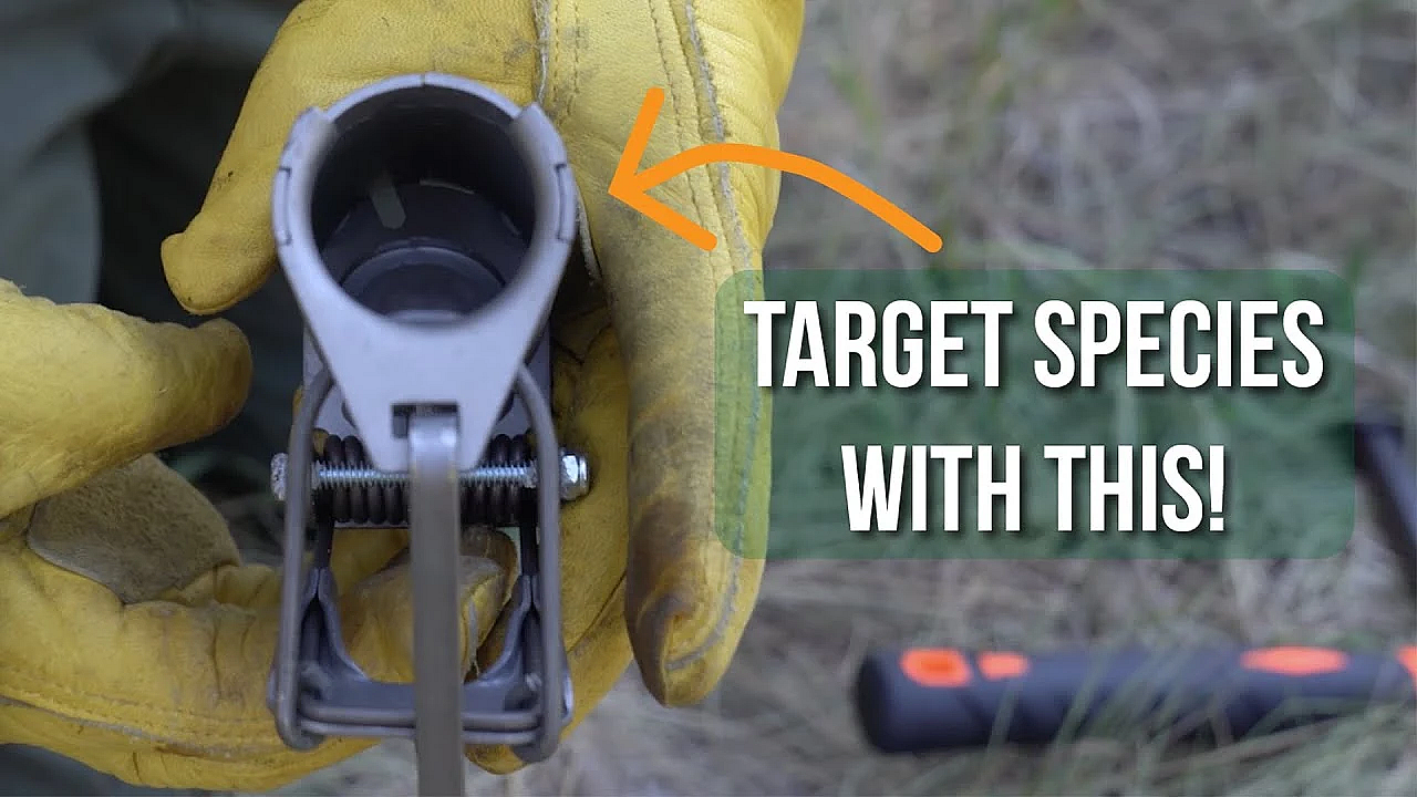 Selective Foothold Traps For Trapping