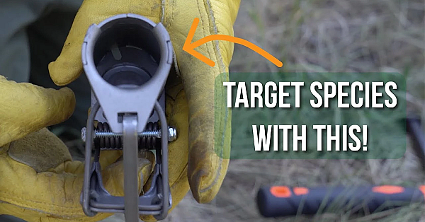 Selective Foothold Traps For Trapping