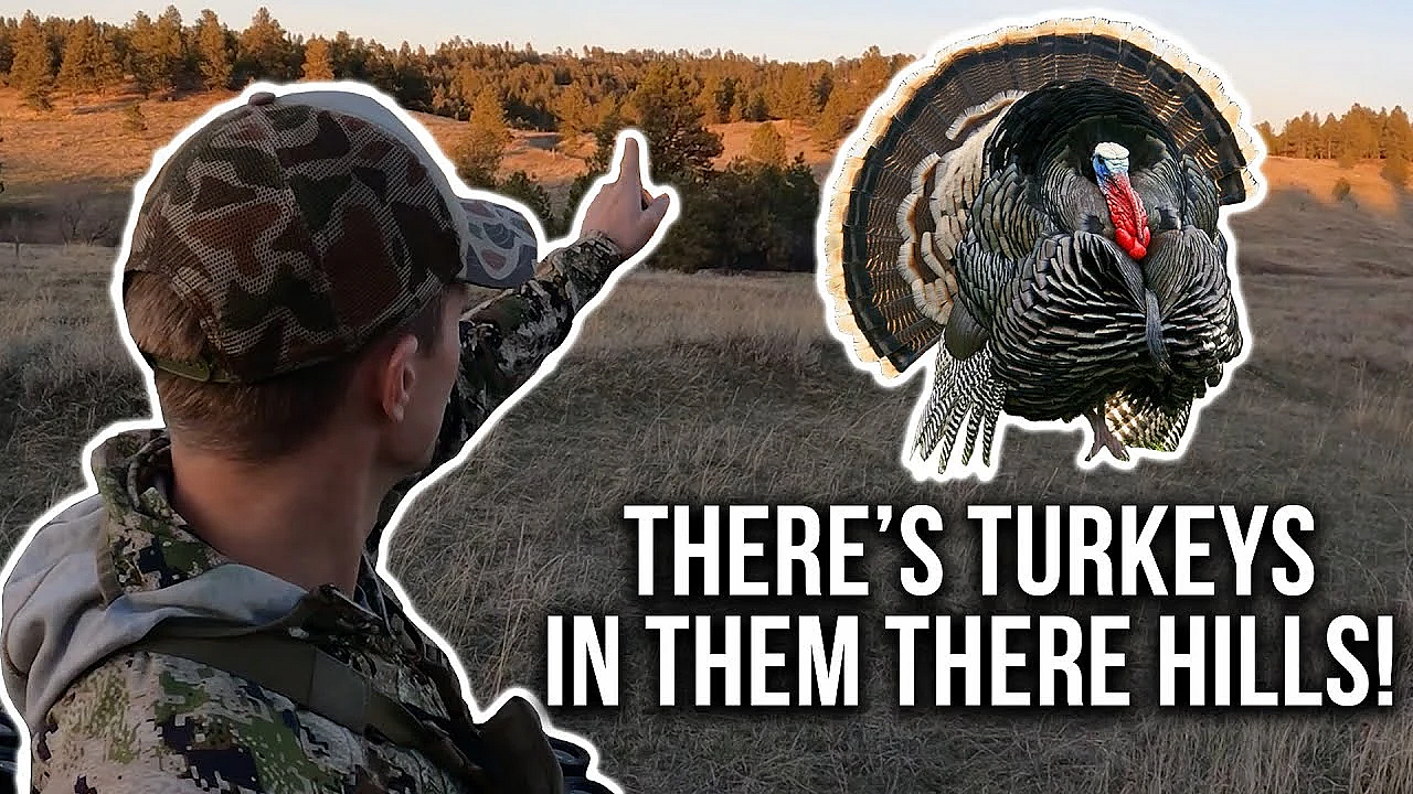 Merriam’s Turkey Hunting In The Rolling Hills And Ponderosa Pines Of Montana (ep. 1 Of 3)