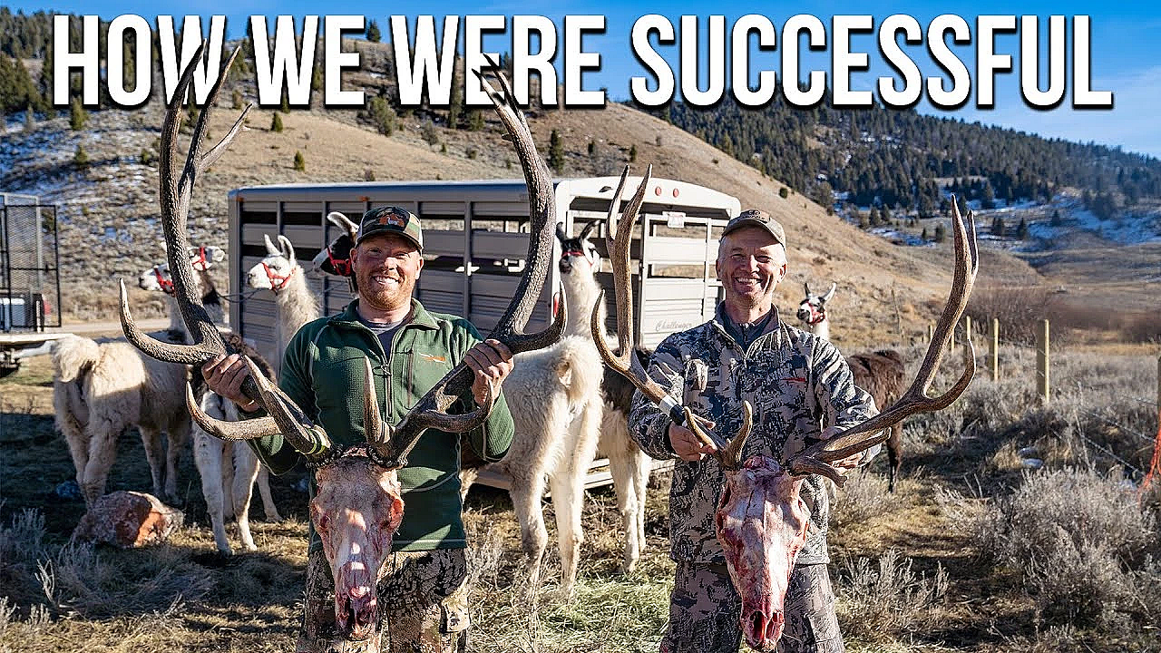 Lessons Learned: 3 For 3 On General Season Bulls In Montana