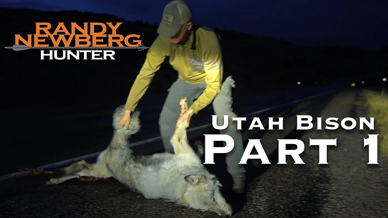 2018 Utah Archery Bison With Randy Newberg (part 1)