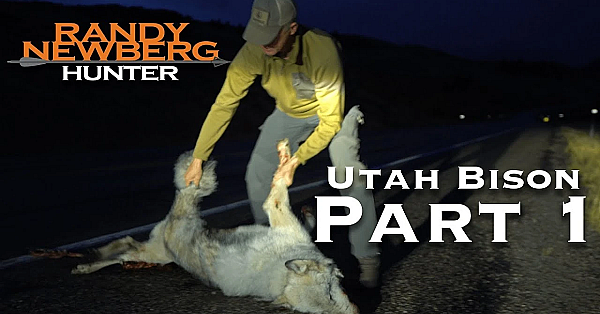 2018 Utah Archery Bison With Randy Newberg (part 1)