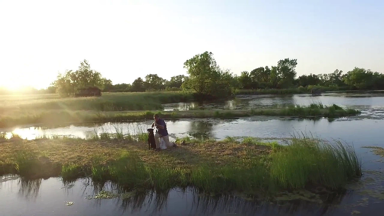 Gun Dog Success - 20 Years Of Investment