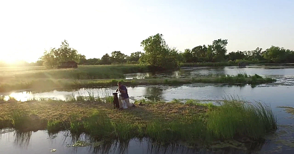 Gun Dog Success - 20 Years Of Investment