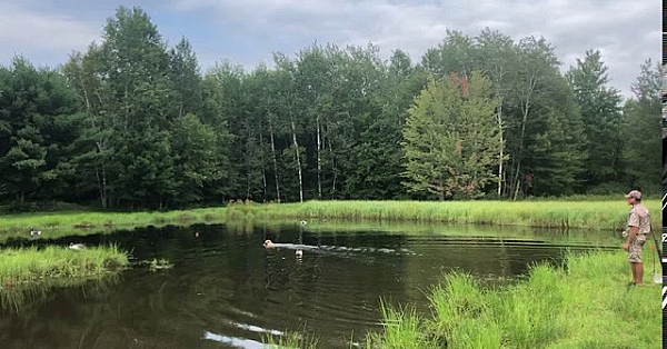 Knox Running Seasoned Water At Muddy Waters Hunting Retriever Club's Hunt Test
