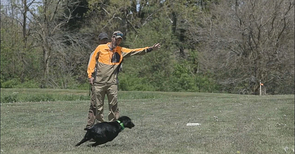 Rue Testimonial - Gun Dog Success