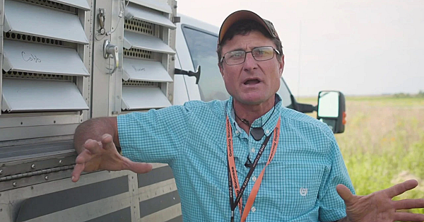 Gun Dog Success - 1200 Acres Of World Class Dog Training And Hunting Grounds