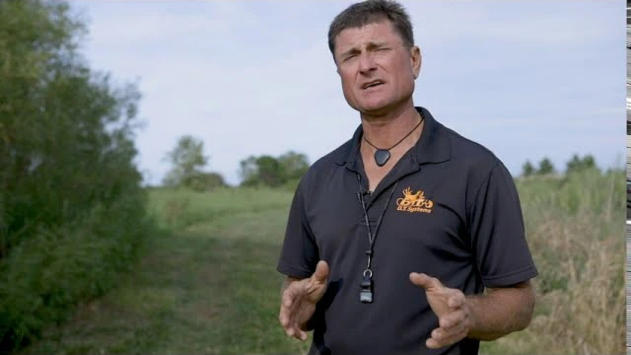 Game Bird Introduction Ad