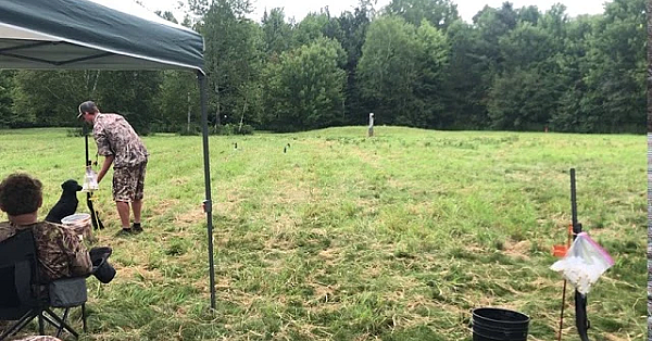 Widow Running Seasoned Land At Muddy Waters Hunting Retriever Club's Hunt Test