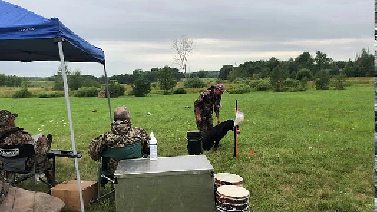 Mak Running Finished At Muddy Water Hunting Retriever Club's Hunt Test