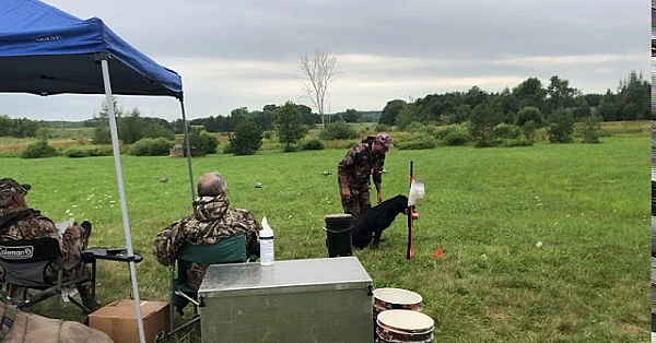 Mak Running Finished At Muddy Water Hunting Retriever Club's Hunt Test