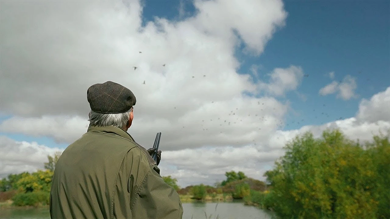 Driven Ducks At Green Acres Sportsman's Club