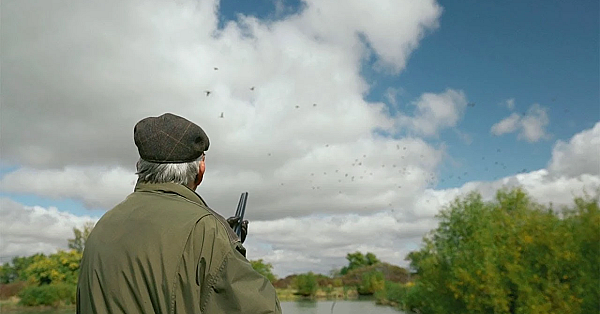 Driven Ducks At Green Acres Sportsman's Club