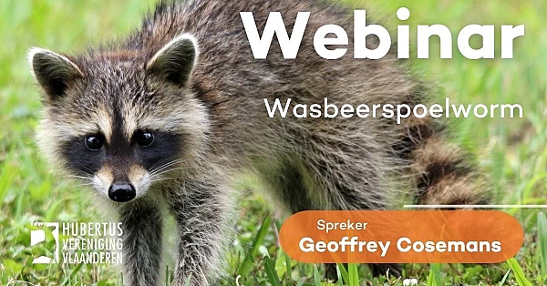 Webinar Wasbeerspoelworm