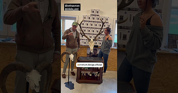 A Unique Standard For Your Trophy