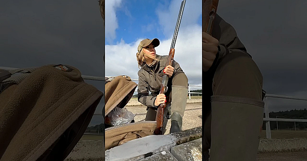 Saturday Morning Geese Hunt #geese #goose #hunt